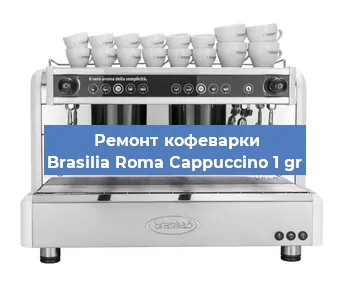 Ремонт кофемашины Brasilia Roma Cappuccino 1 gr в Санкт-Петербурге